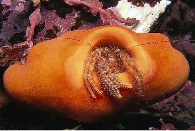 Steam版及NintendoSwitch版《若不疯魔何言爱过》现已发售 新剧情DLC隆重登场!